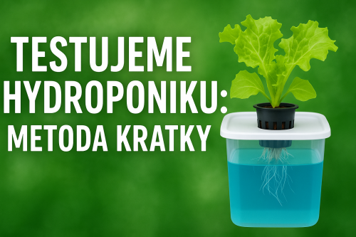 Testujeme Hydroponiku - Metoda Kratky (YT).png